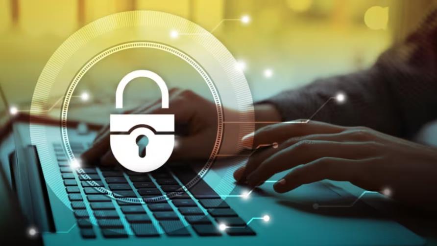 鸡泽县软件开发：这些策略适用于所有本地企业吗？